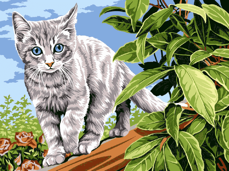 Schlimmer kleiner Kater