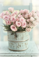 Romantischer Rosenstrauß