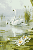 Schwäne auf dem See