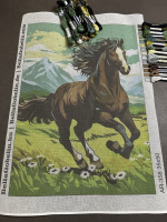 Der galoppierende Hengst